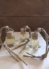 Diffuseur de parfum Miel